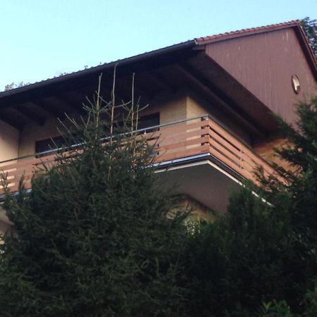 Bergoase Apartman Bad Lauterberg Kültér fotó